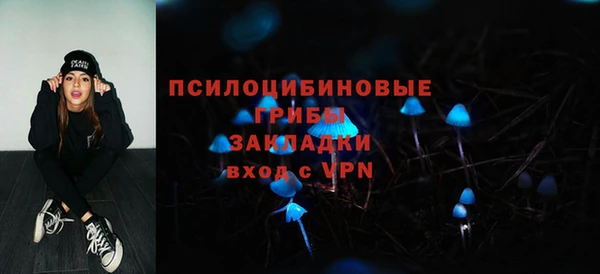 прущий лед Арсеньев