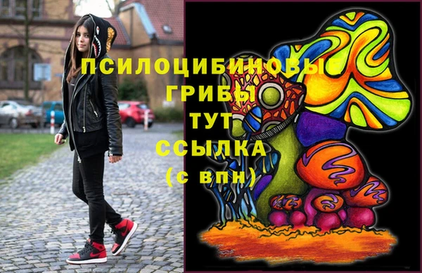 МДПВ Армянск