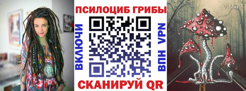 где найти Георгиевск Галлюциногенные грибы Psilocybine cubensis